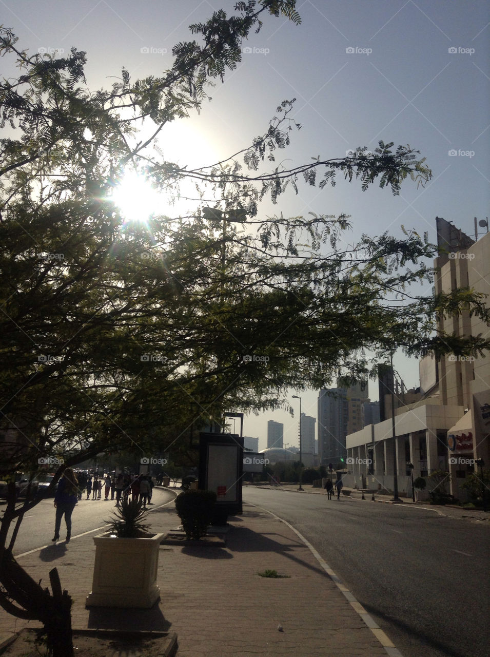Street, People, City, Road, Tree