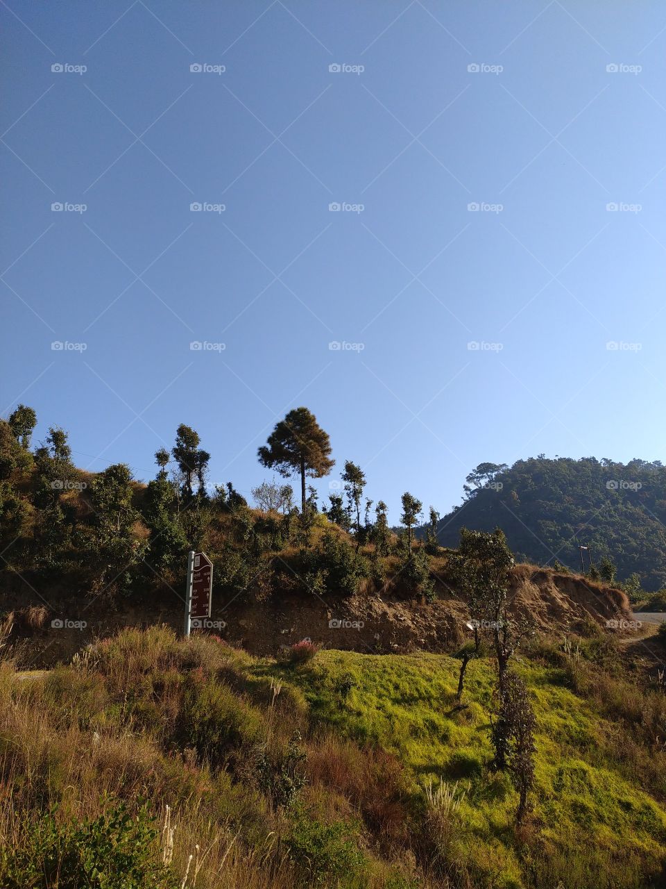 Wonderful scenery en route to Gangotri in the great Himalayan region