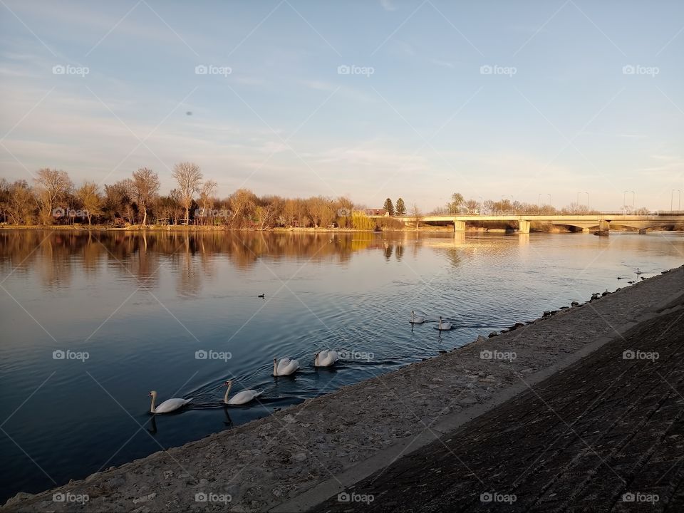 Water, Lake, River, No Person, Nature