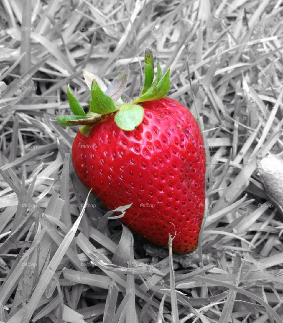 food grass color strawberry by danielrichard