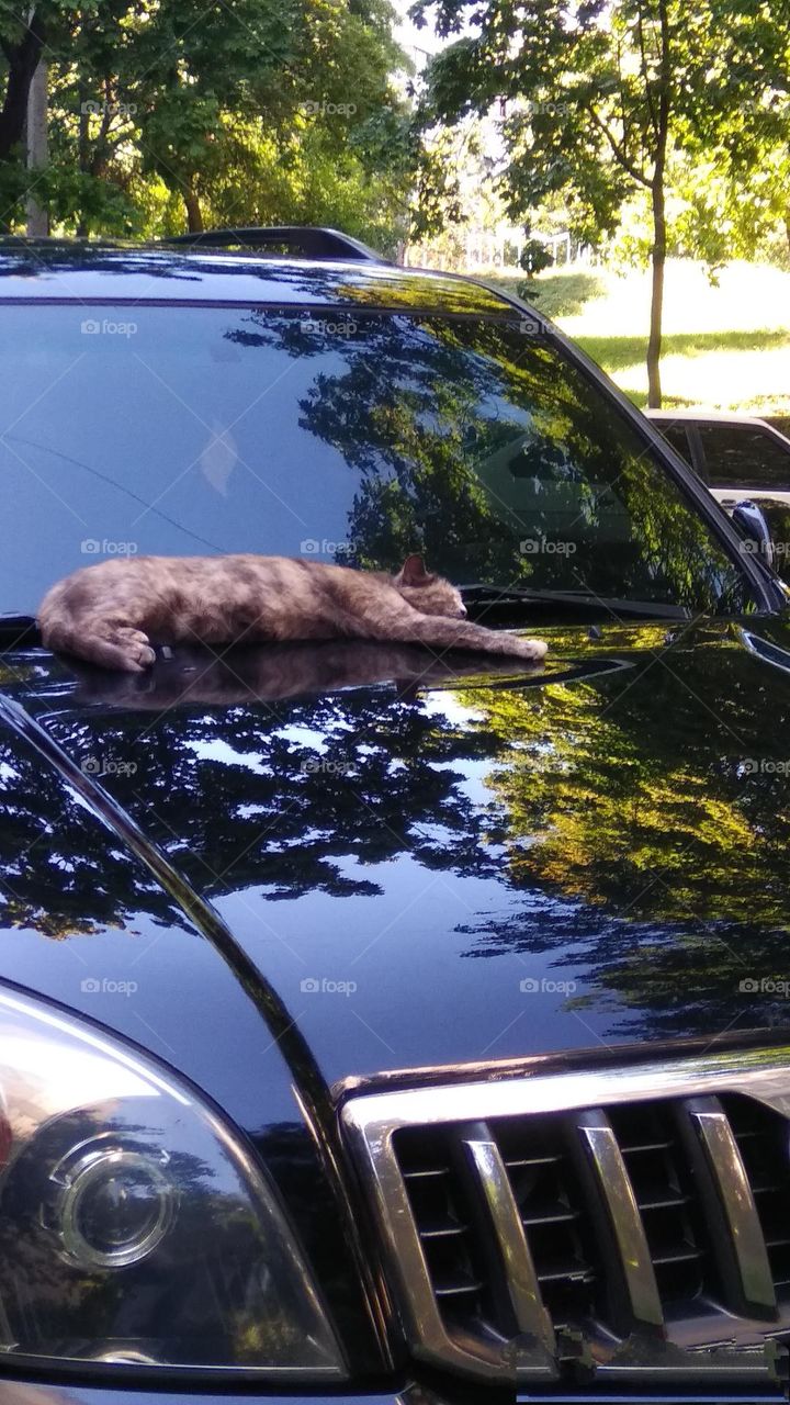 editors Choice photo on the week