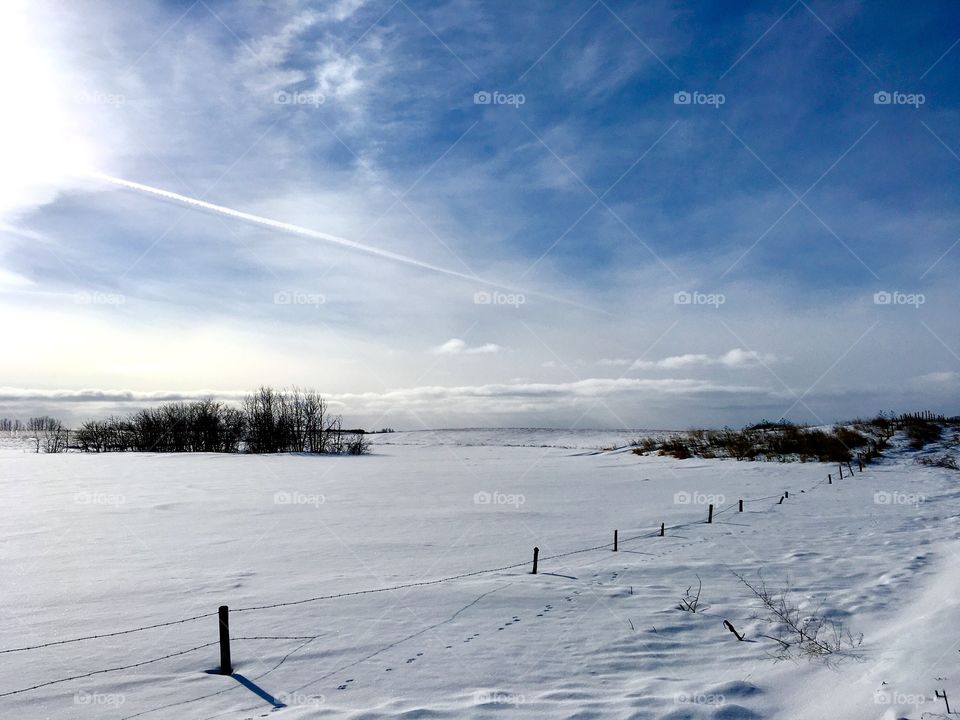 Winter landscape 