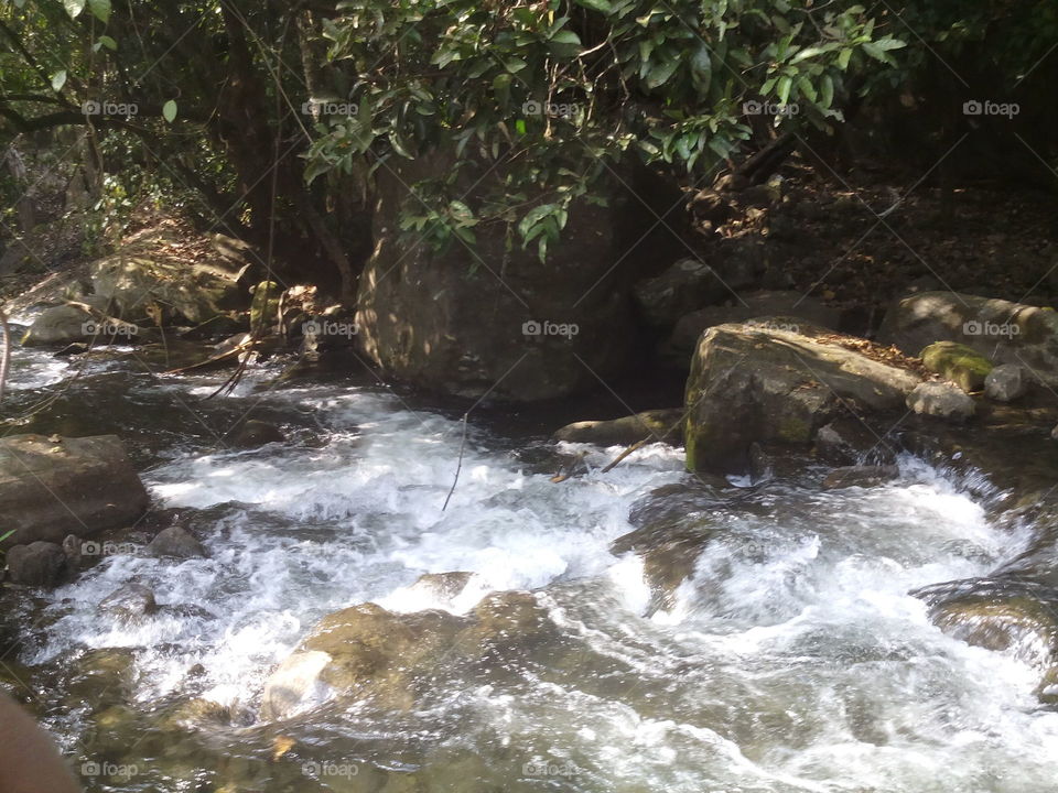creashed river meenvallam palakkad