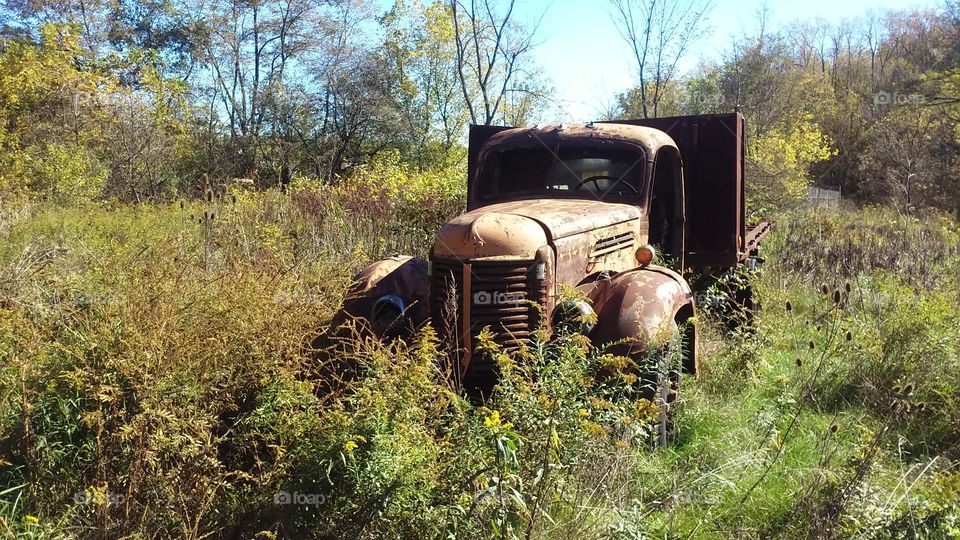If this truck could talk. A abandon truck in a field