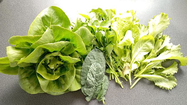 färsk sallad