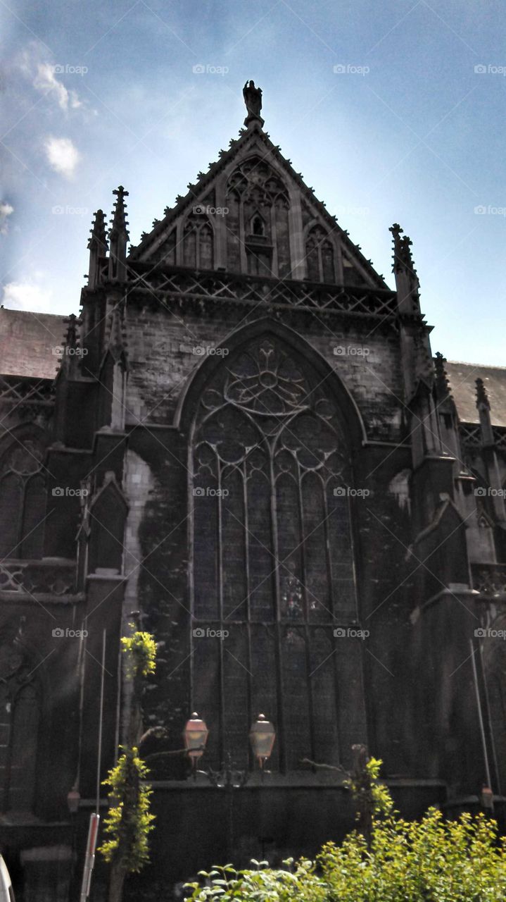 cathedral in Liege