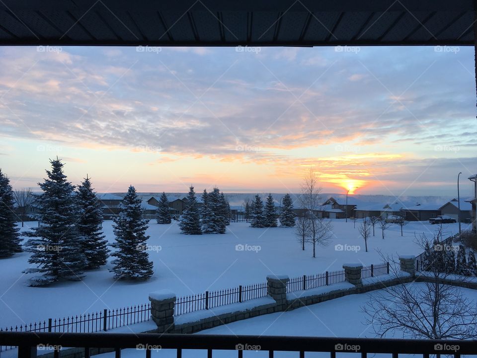 Morning Alberta 
