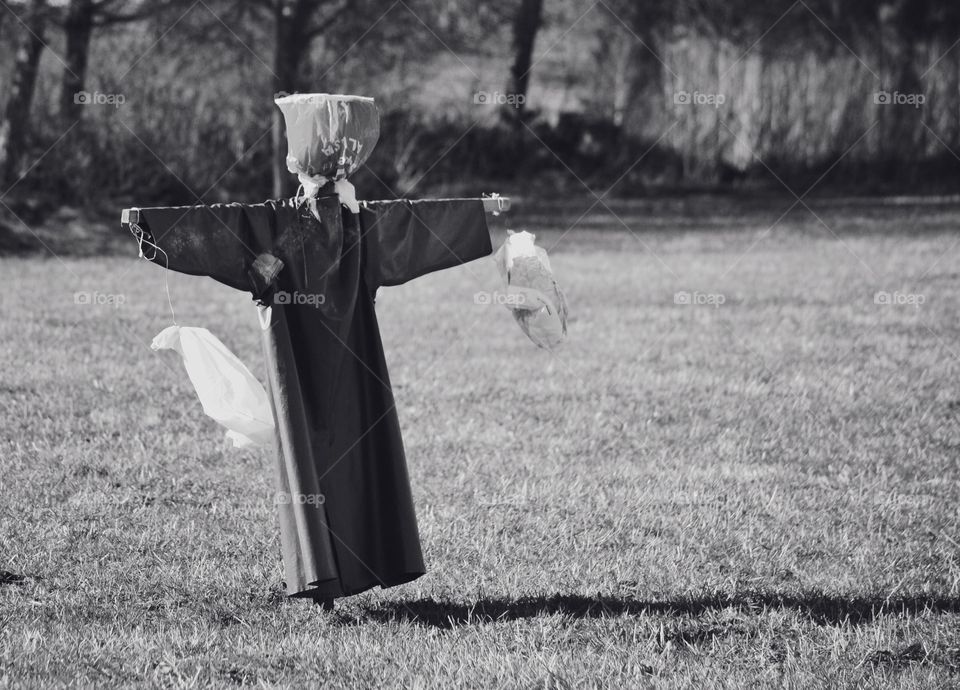 Scarecrow. A scarecrow standing on a field