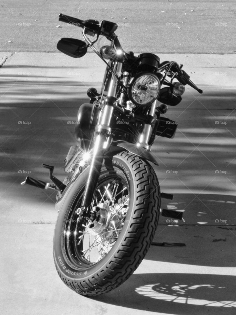 Sportster. Black and White