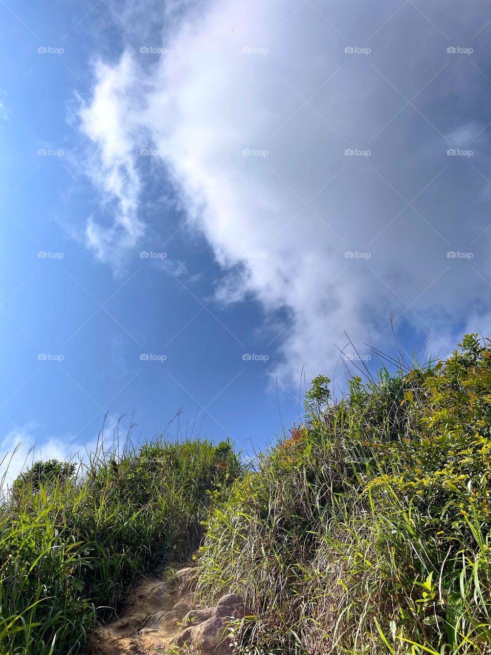 blue sky and white clouds