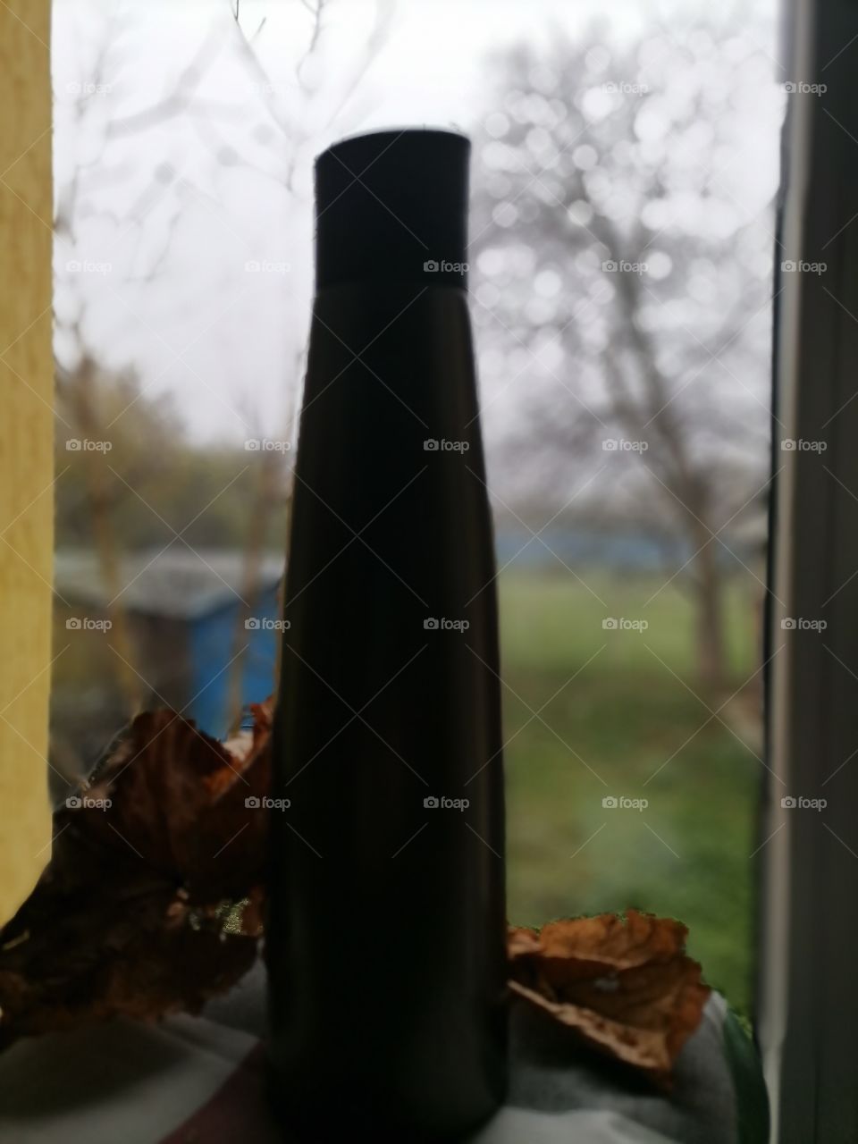 Bottle on the windowsill