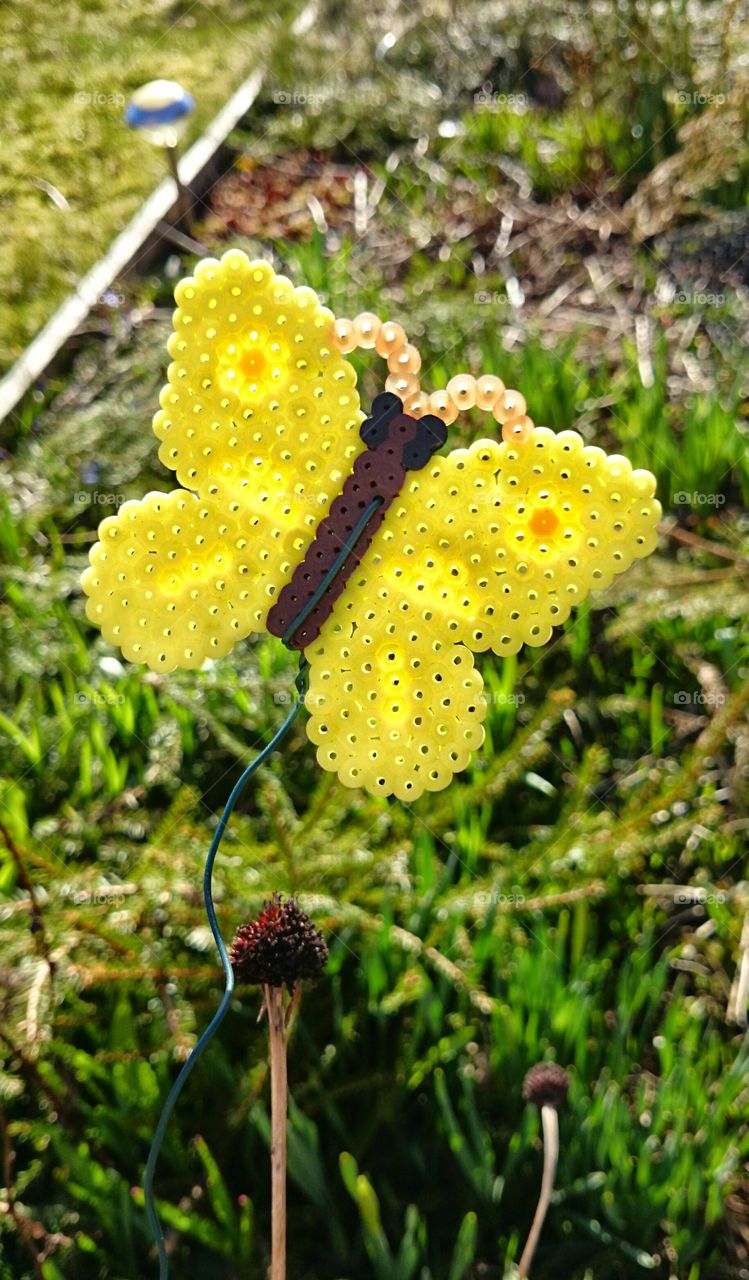 Butterfly . Butterfly of beads