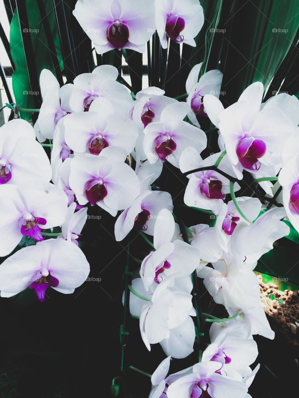 Sometimes you need to let things go.