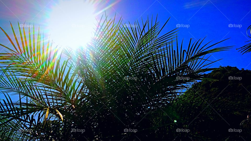 RADIANTE BRILHO DO SOL 🌞