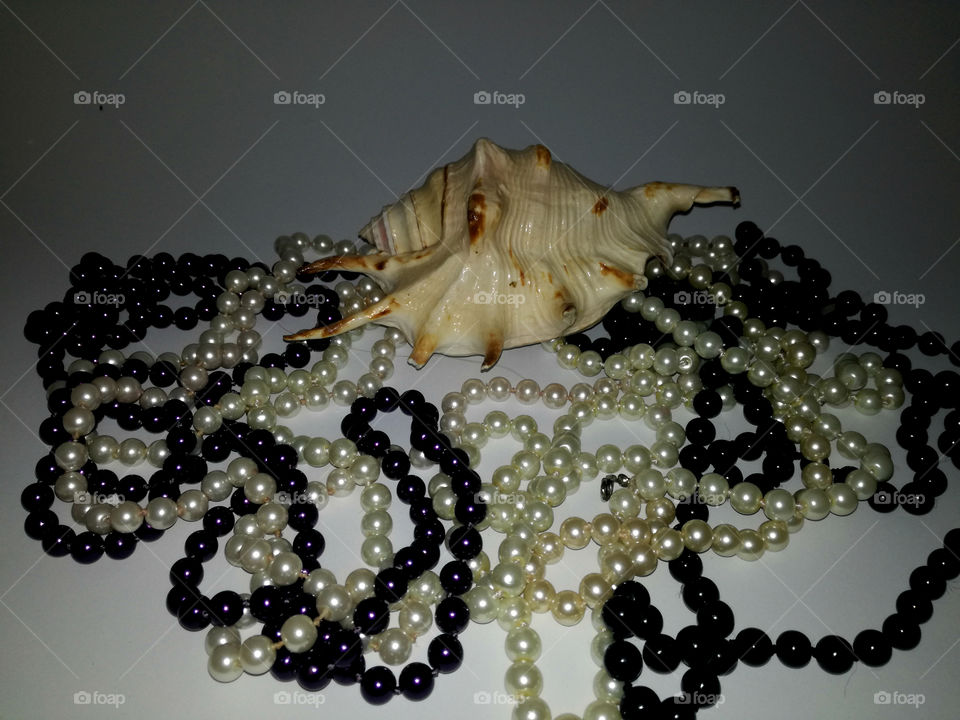 amazing shell and black and white pearls. natural details and jewelry