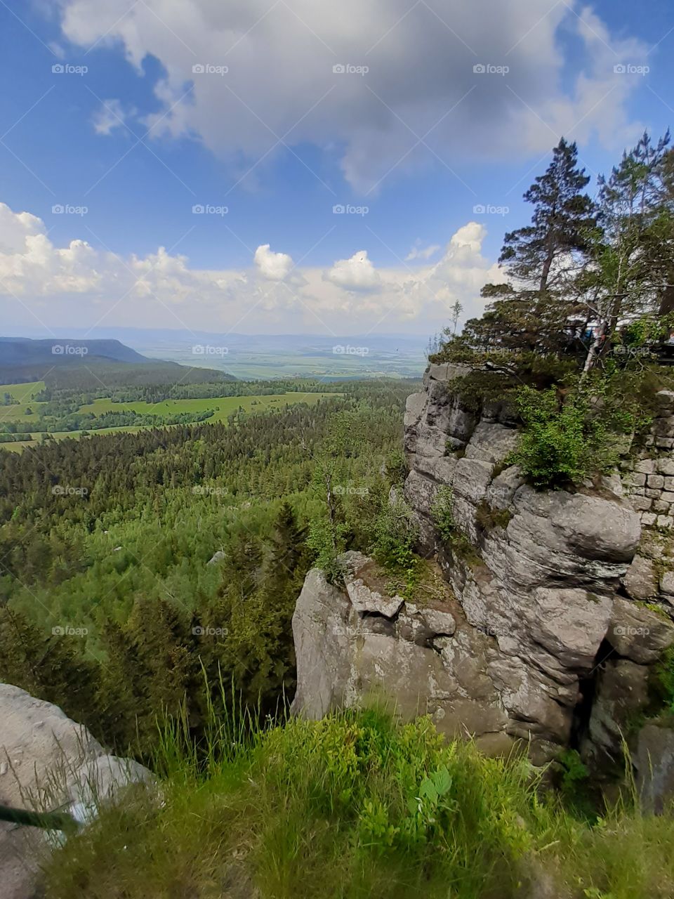 кольори природи