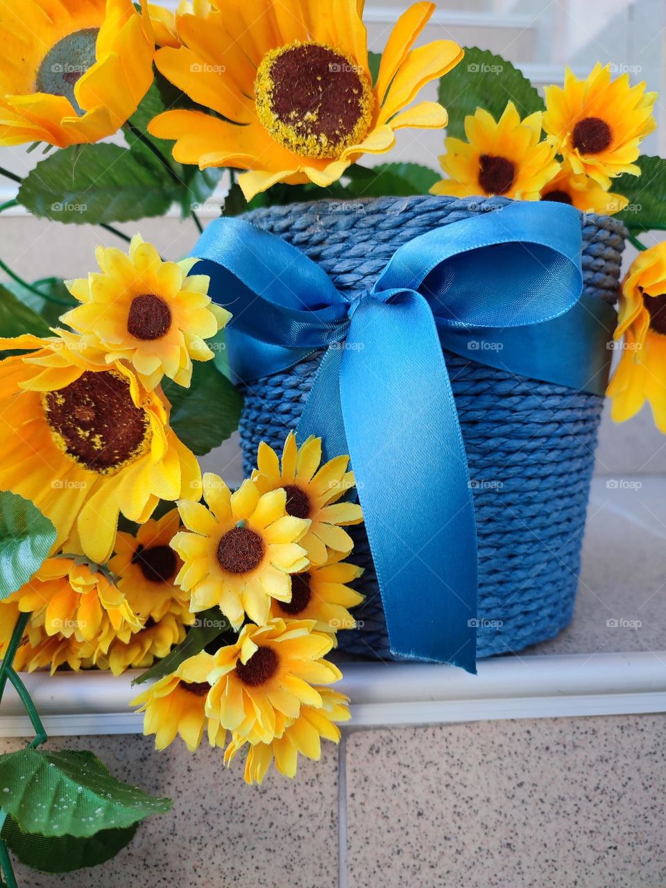 Complementary Colors, Flower Pot