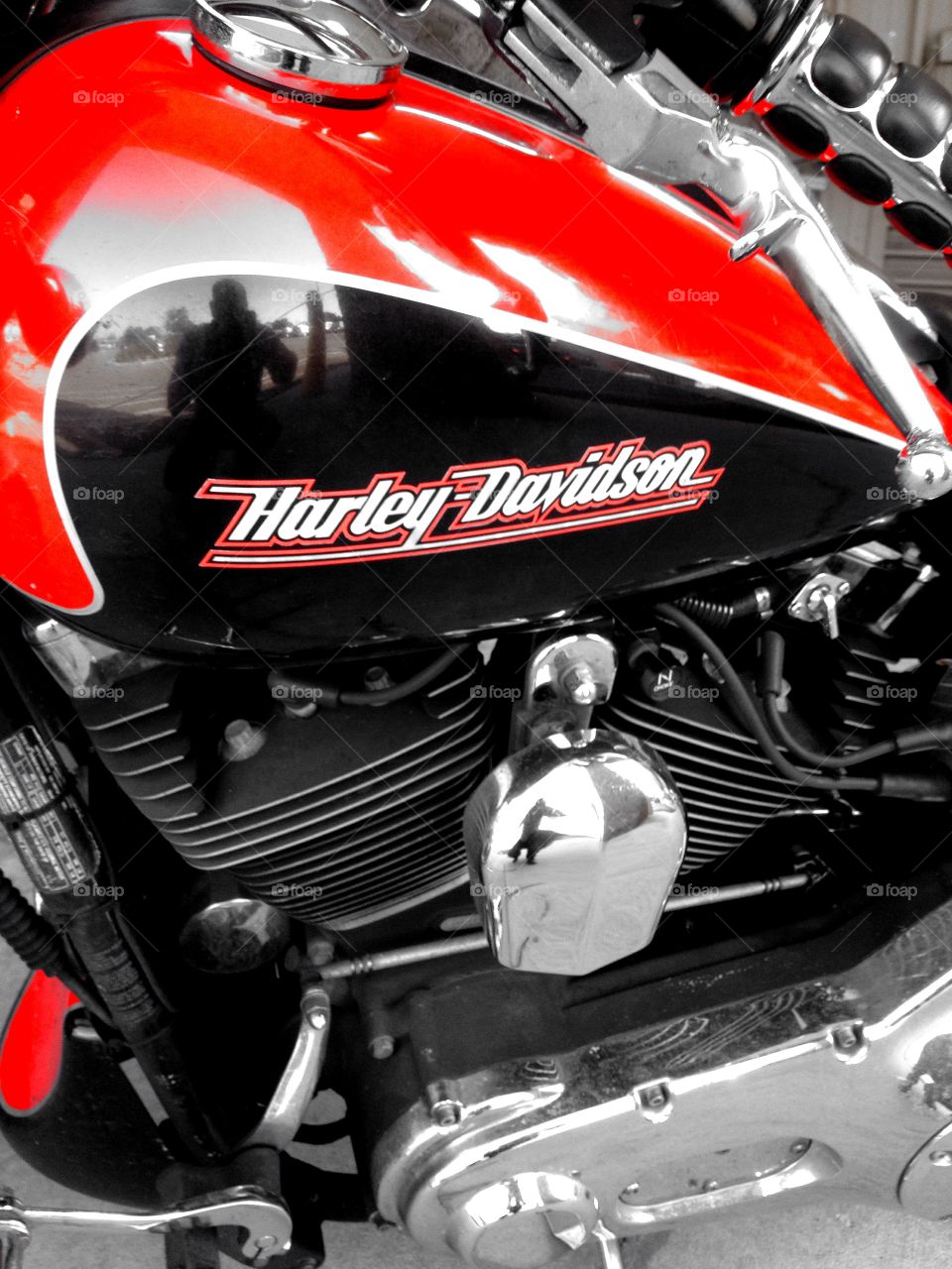 Harley motorcycle 
