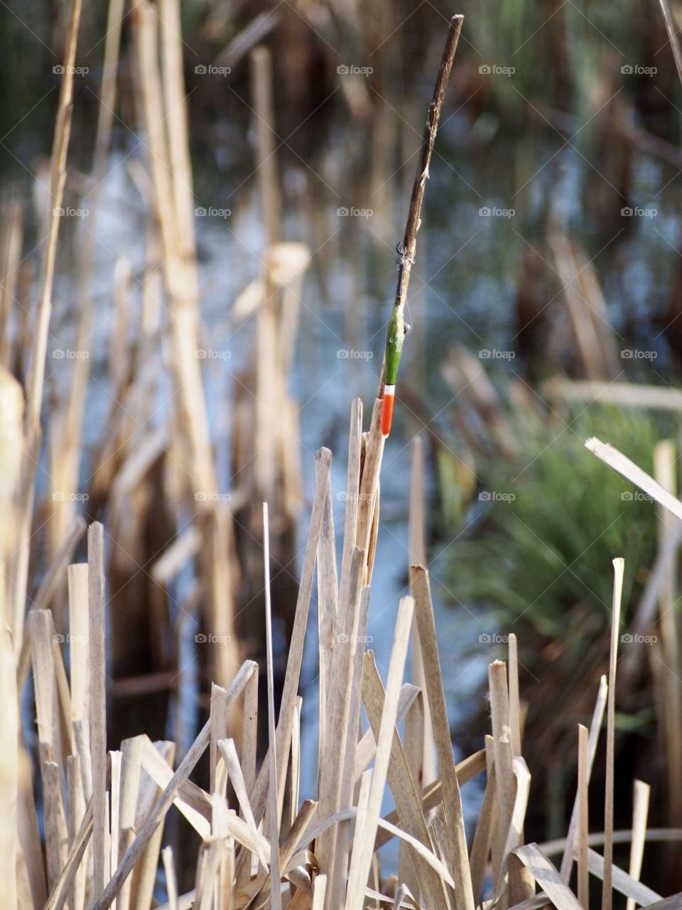 unsuccessful fishing