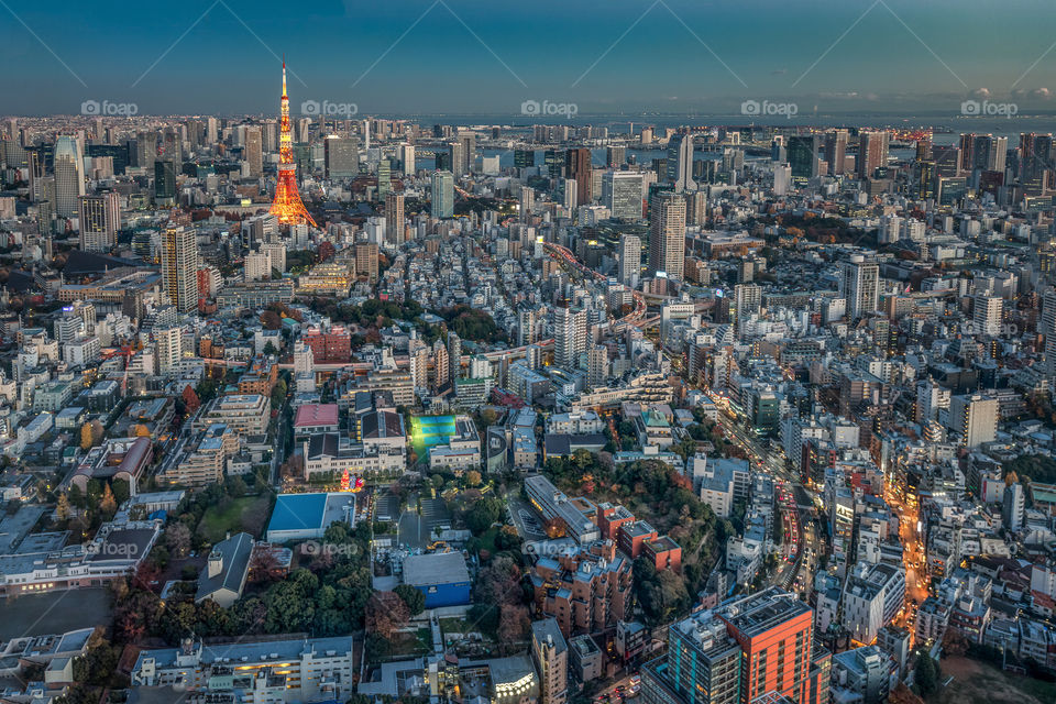 Tokyo tower rising above vibrant Tokyo city