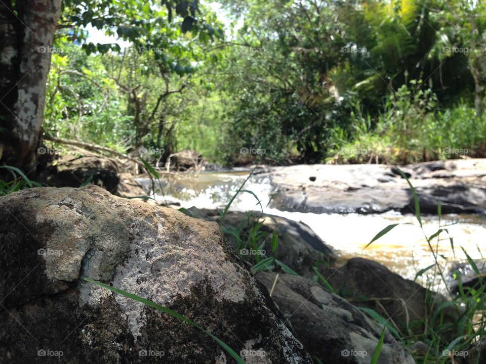 On touch with nature