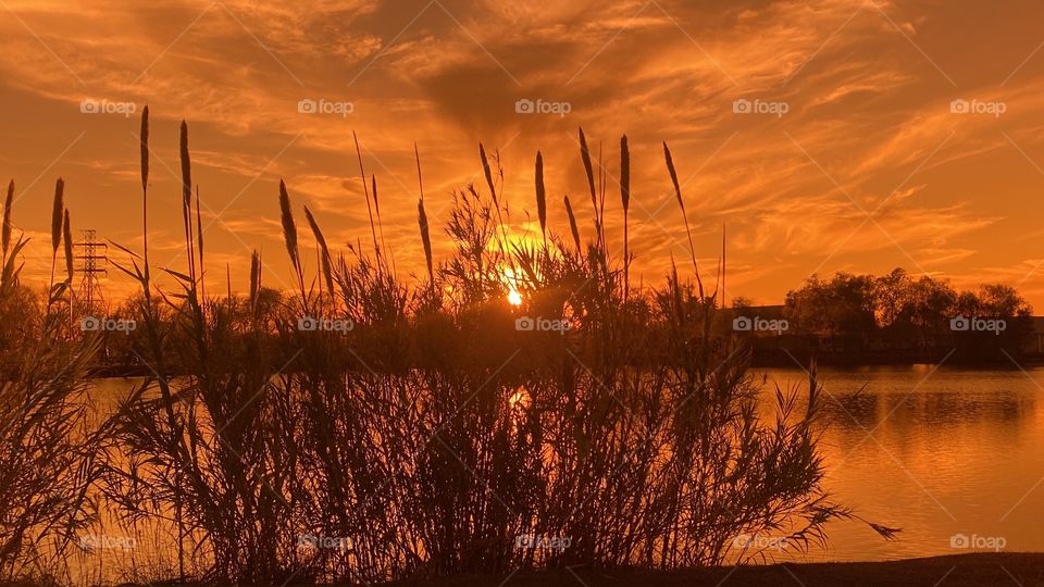 Alignment of the Sun is Perfectly set up. Cascading clouds reflecting of the sun is making for a beautiful Sunset-twilight and Maybe set up for Night.