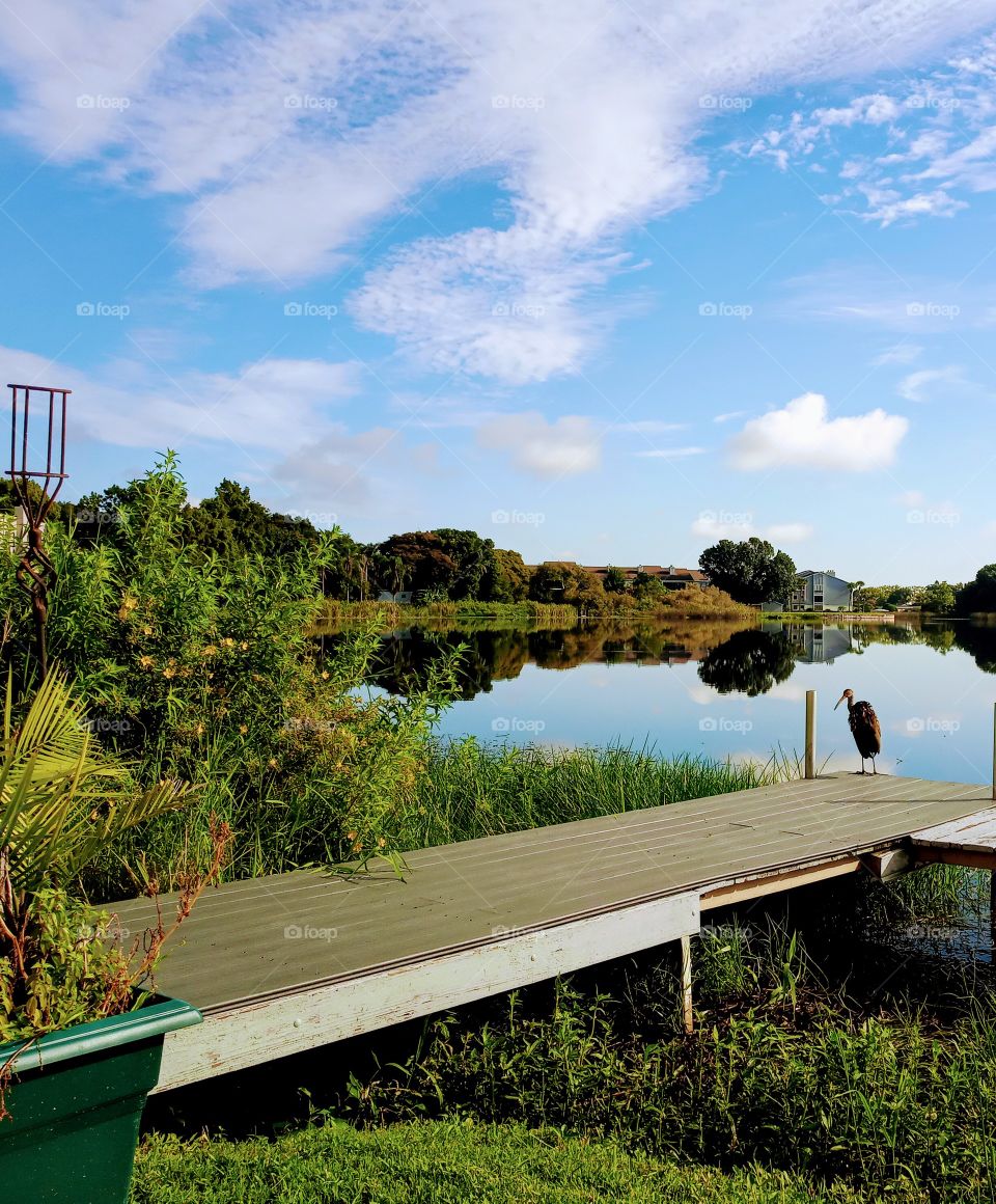 tropical fall view at lakeshore