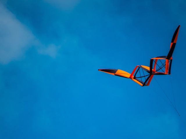 Kite