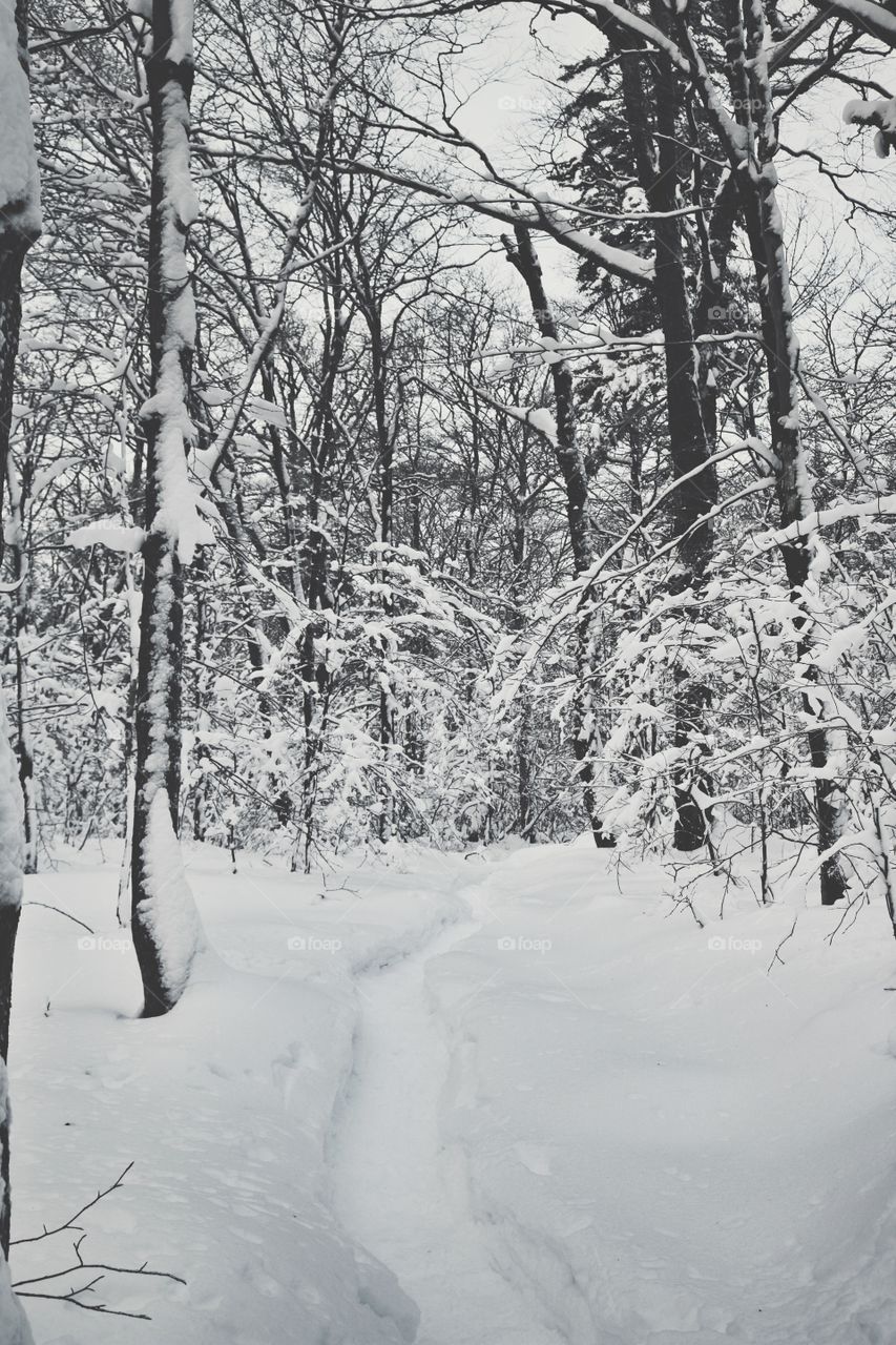 Winter hiking 