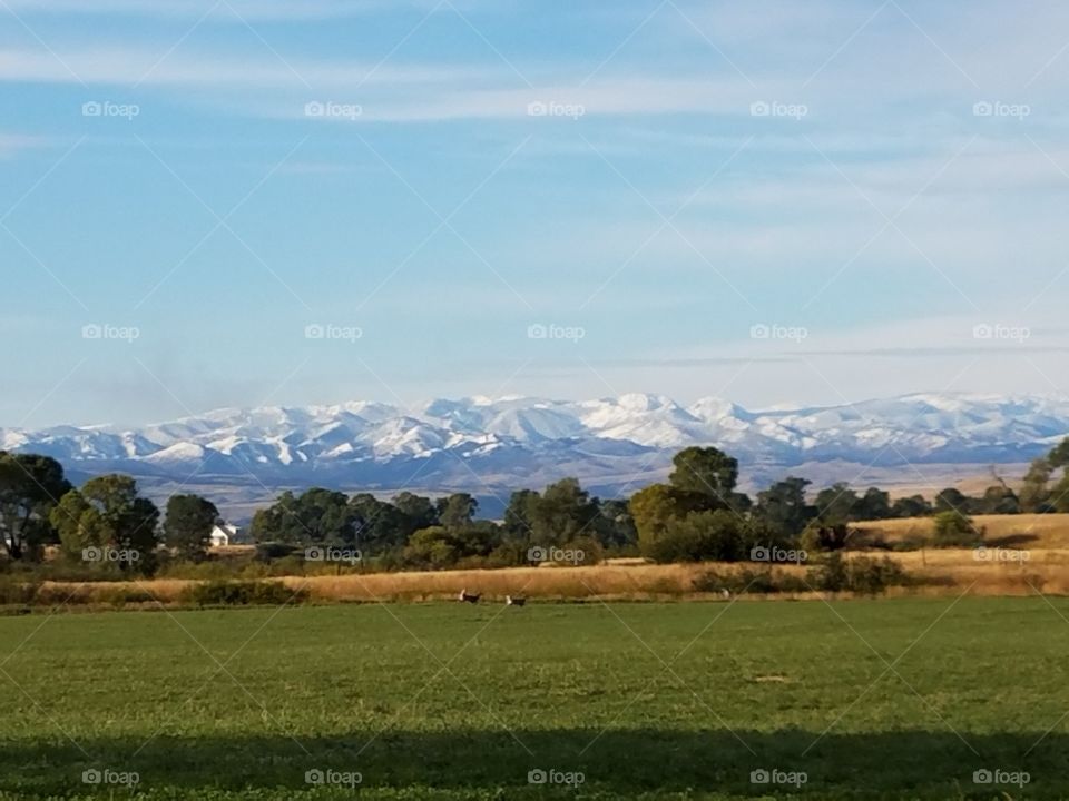 Montana Mountains