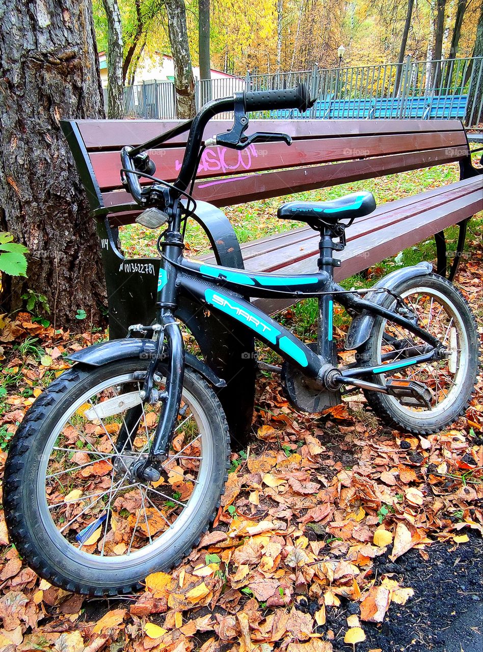 Autumn Park.  There is a children's bicycle near the wooden bench.  Fallen colorful leaves on the ground