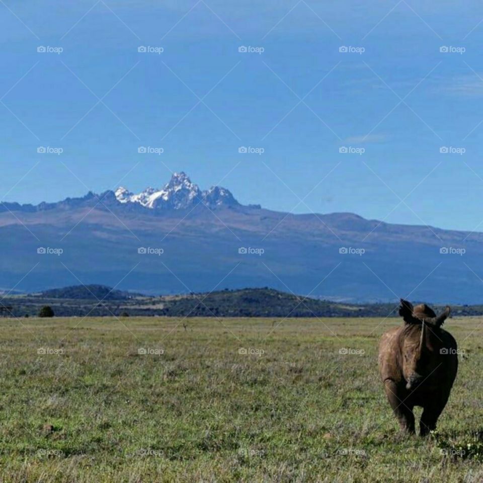 Mt.Kenya