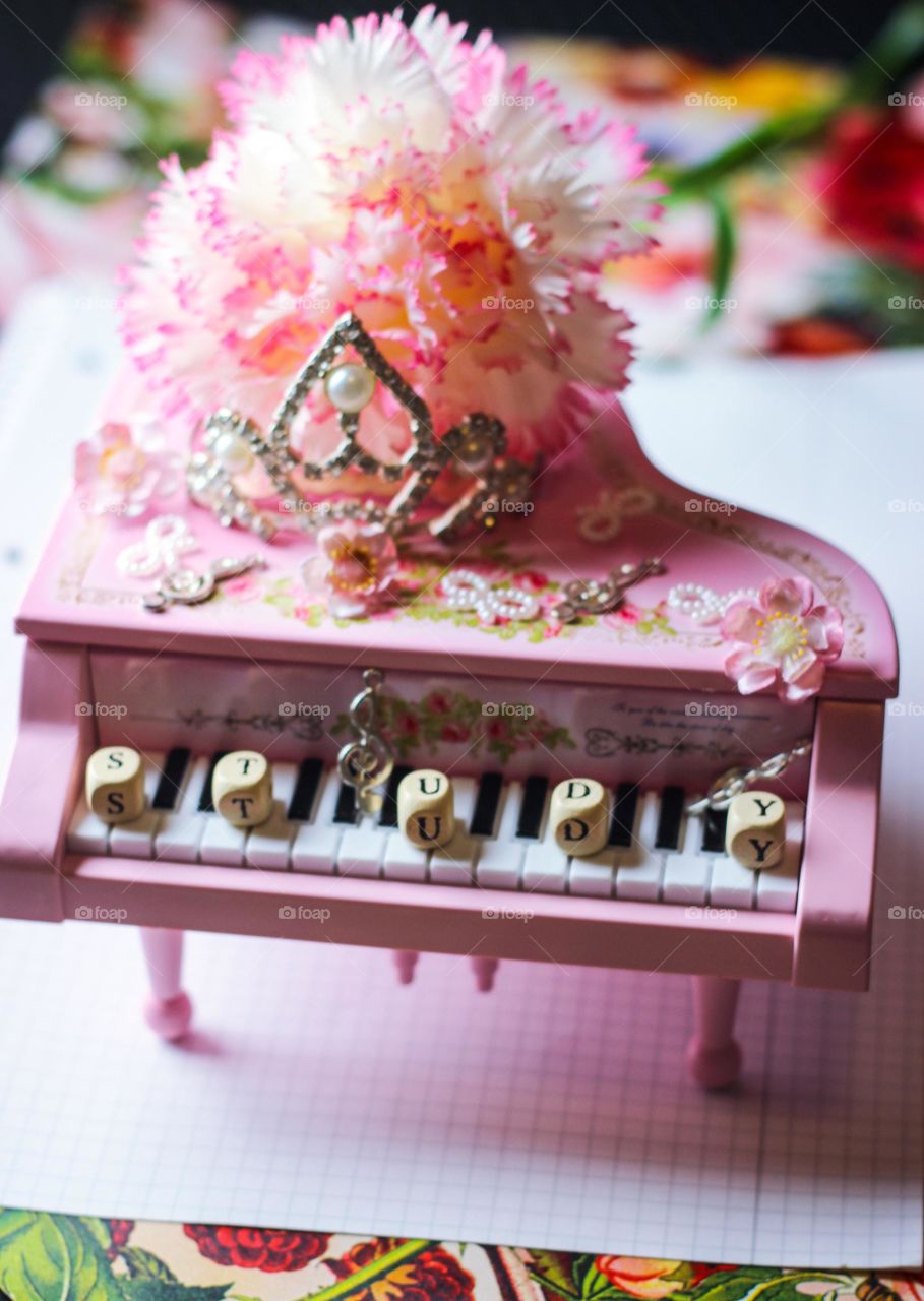 study piano music flower princess