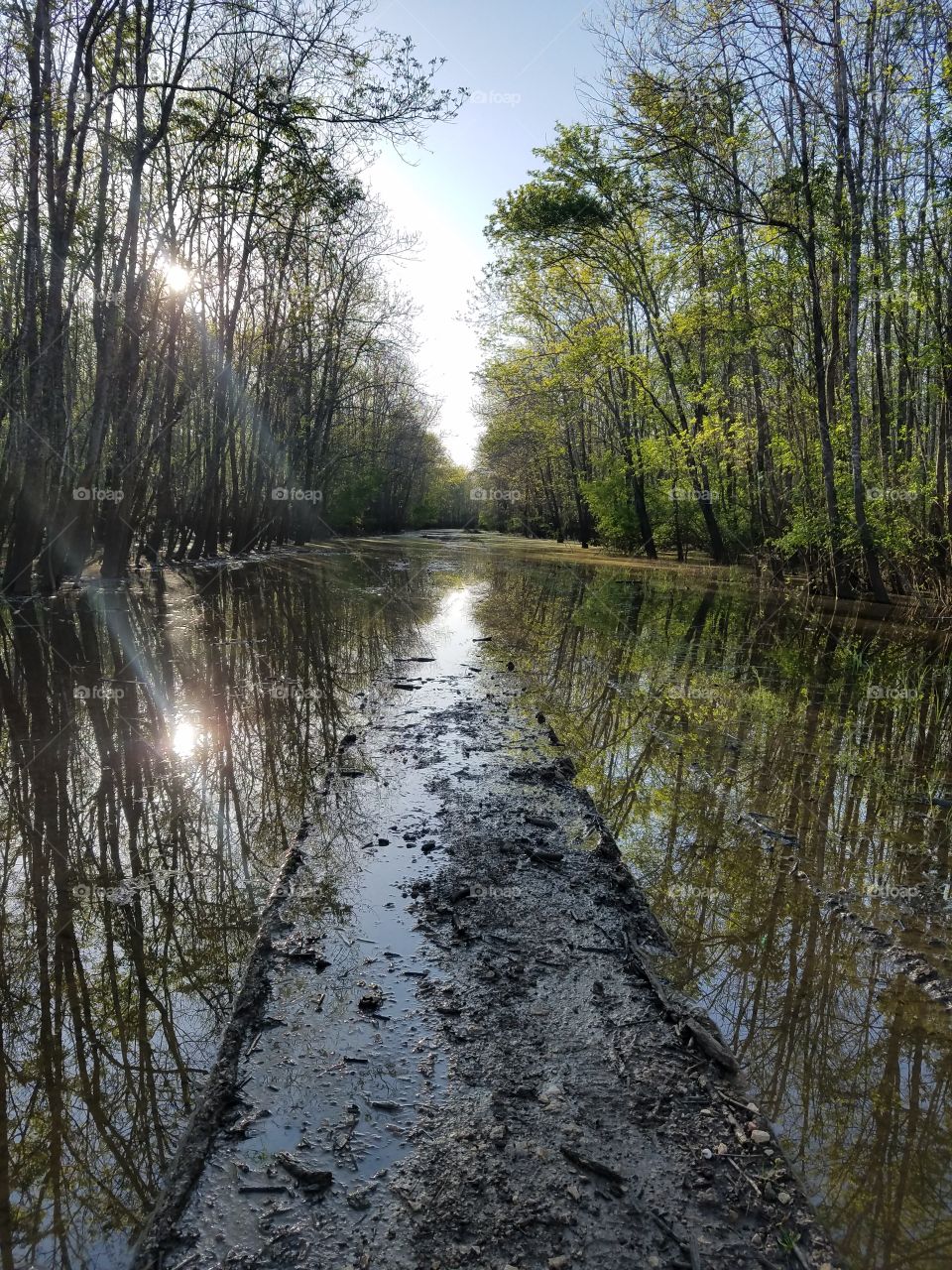 Swampy Trail
