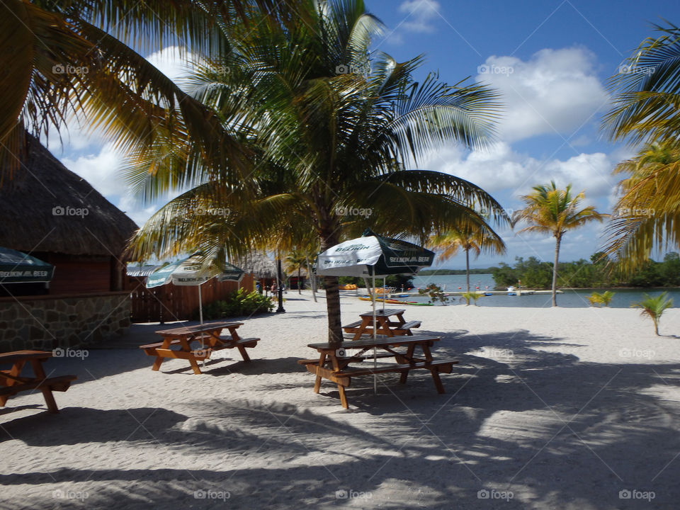 Harvest Caye Belize