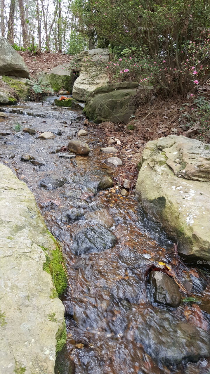 Water, Nature, Rock, Stone, Stream