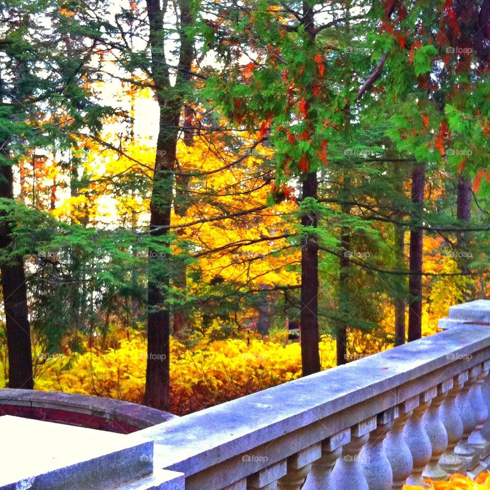 Balcony in the fall