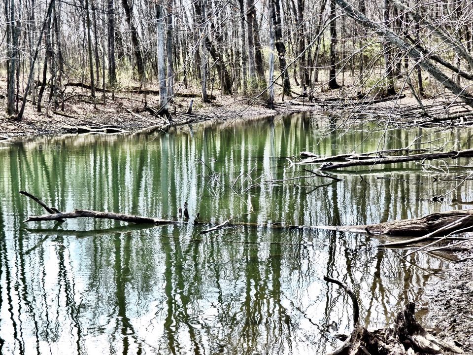 Lake reflection in Indiana 