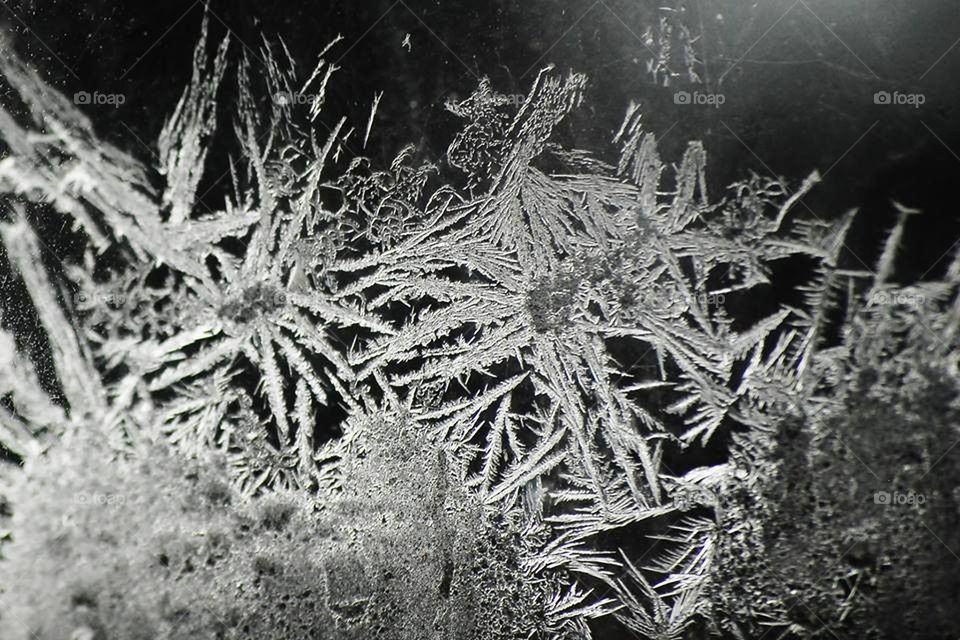 Inside Snowflakes
