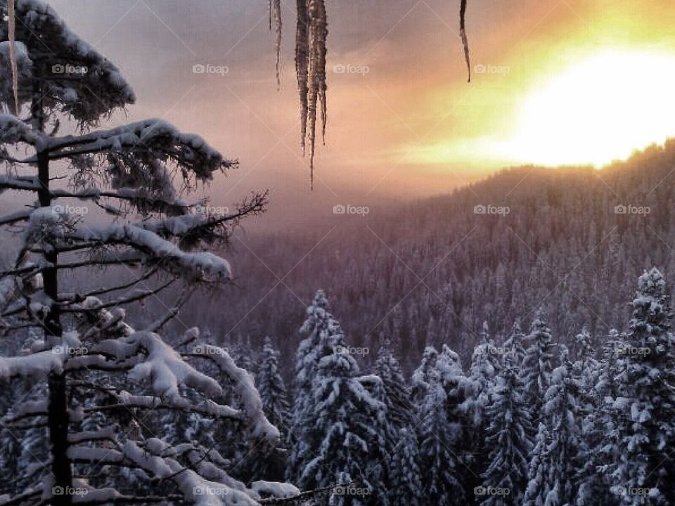 Winter wonderland in Bulgaria 