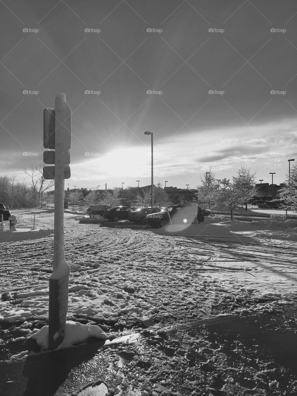 snow reflecting sunlight 