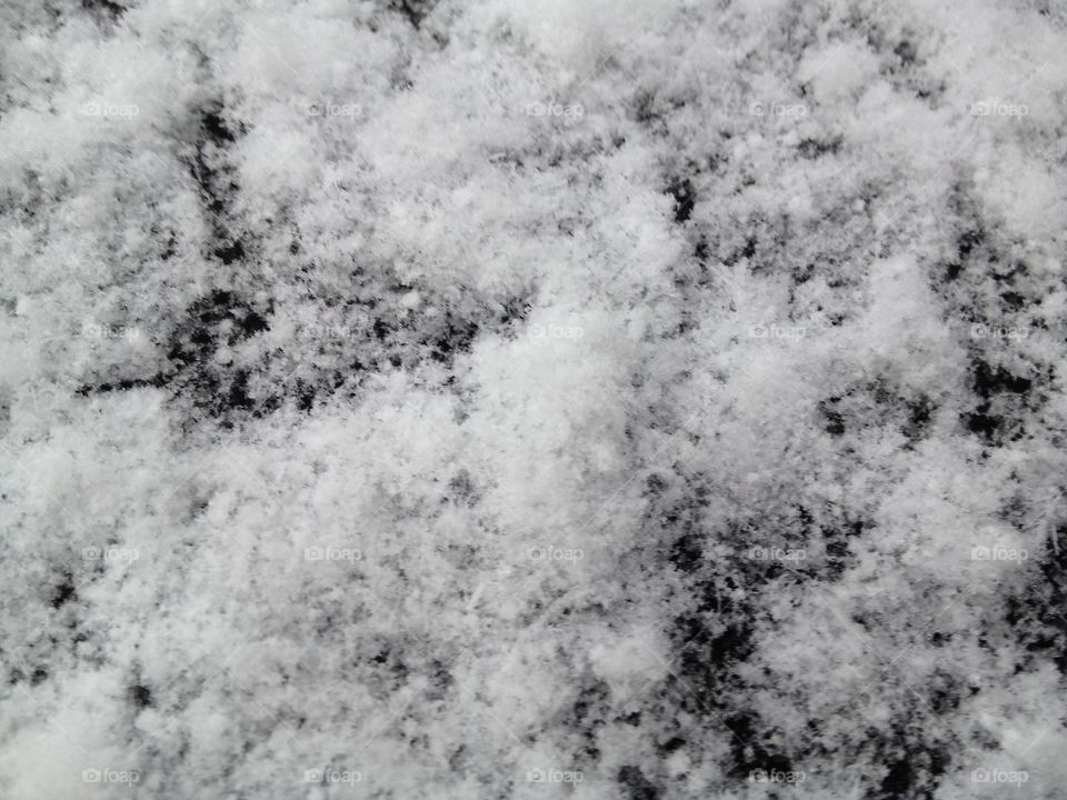 Fresh Snow 