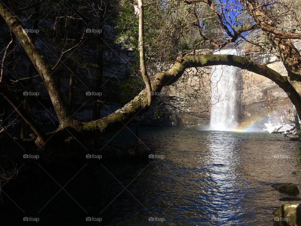 Hiking around Foster Falls in South Cumberland State  Park in Tennessee