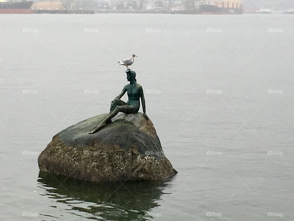 Seagull on top of a statue