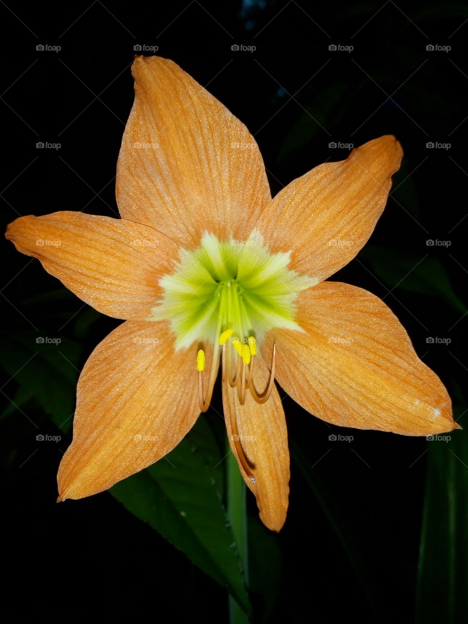 Stars can not shine without darkness...