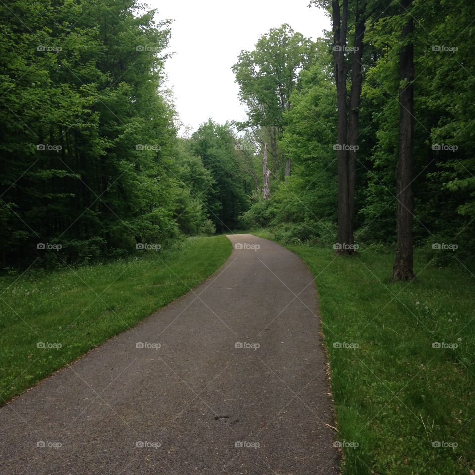 Bromfield Trail. May 18, 2015