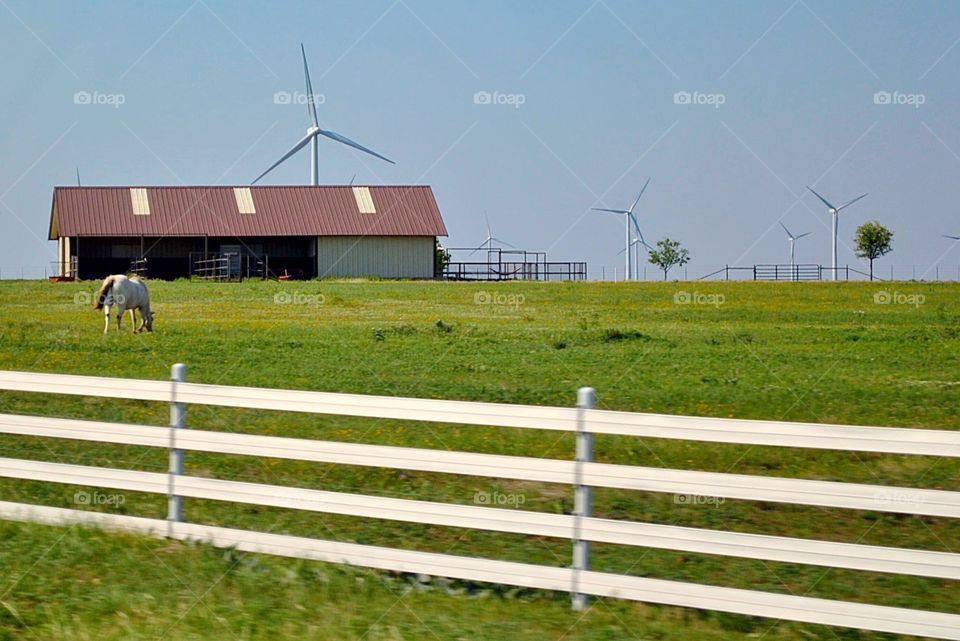 Horse bad house in shadow of windmill