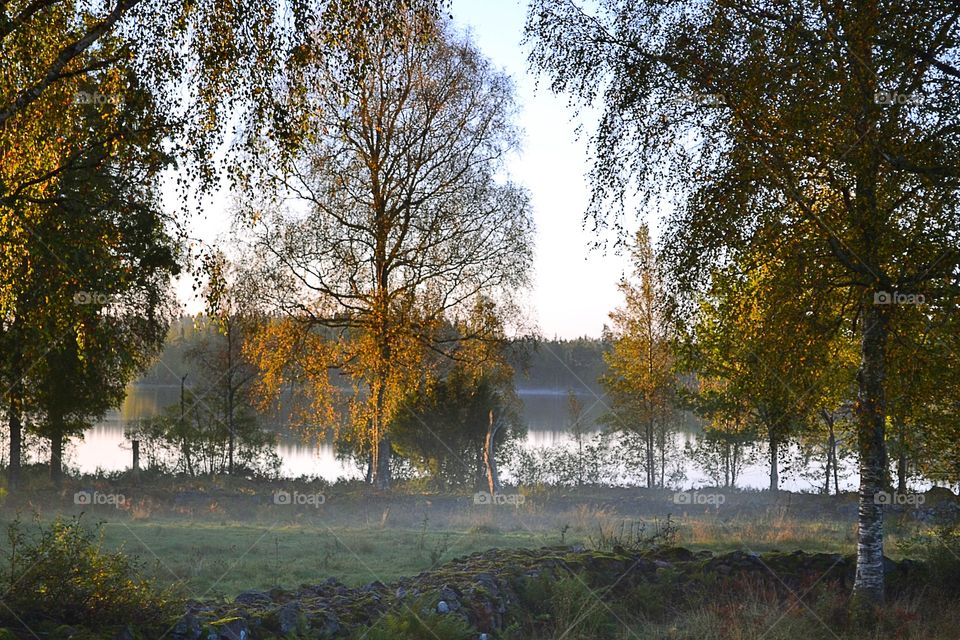 Autumn landscape