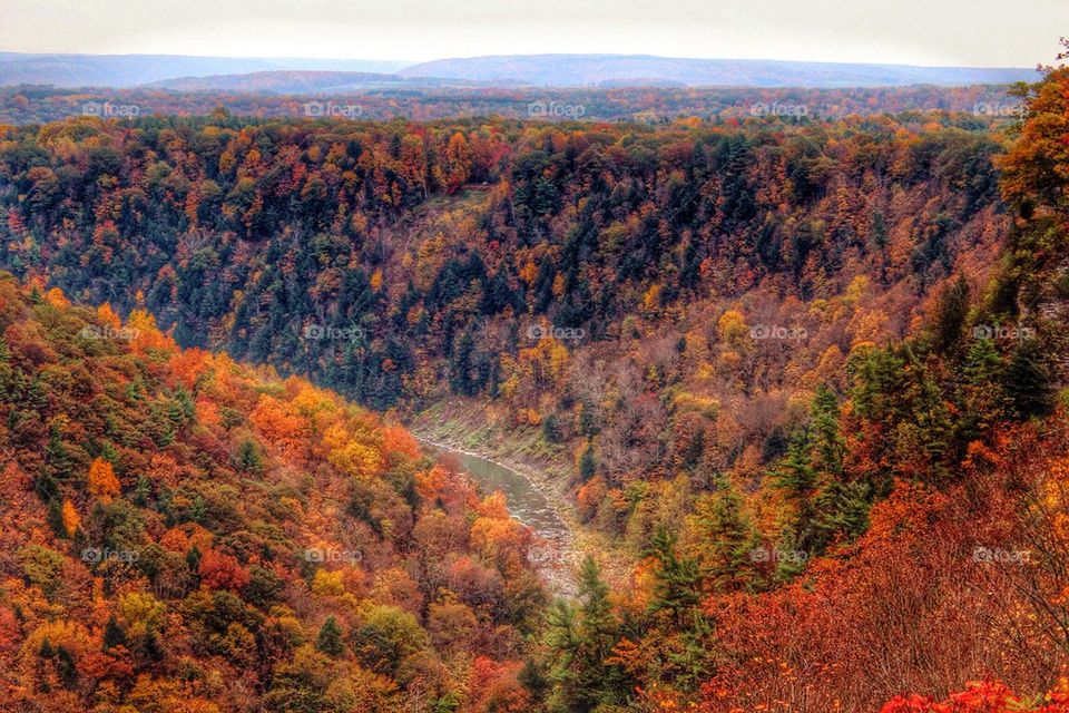 Letchworth State Park NY