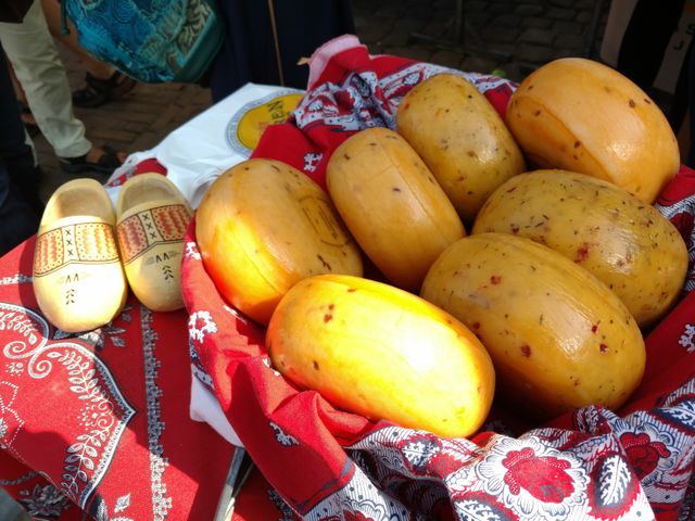 gouda